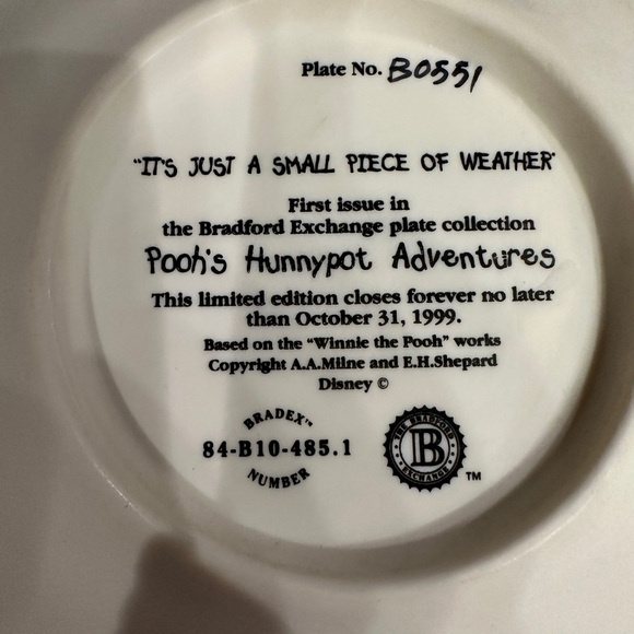 Disney Winnie the Pooh It’s Just A Small Piece of Weather Ceramic Art Plate - Picture 6 of 7